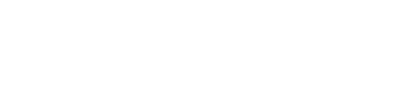 LAVIT
